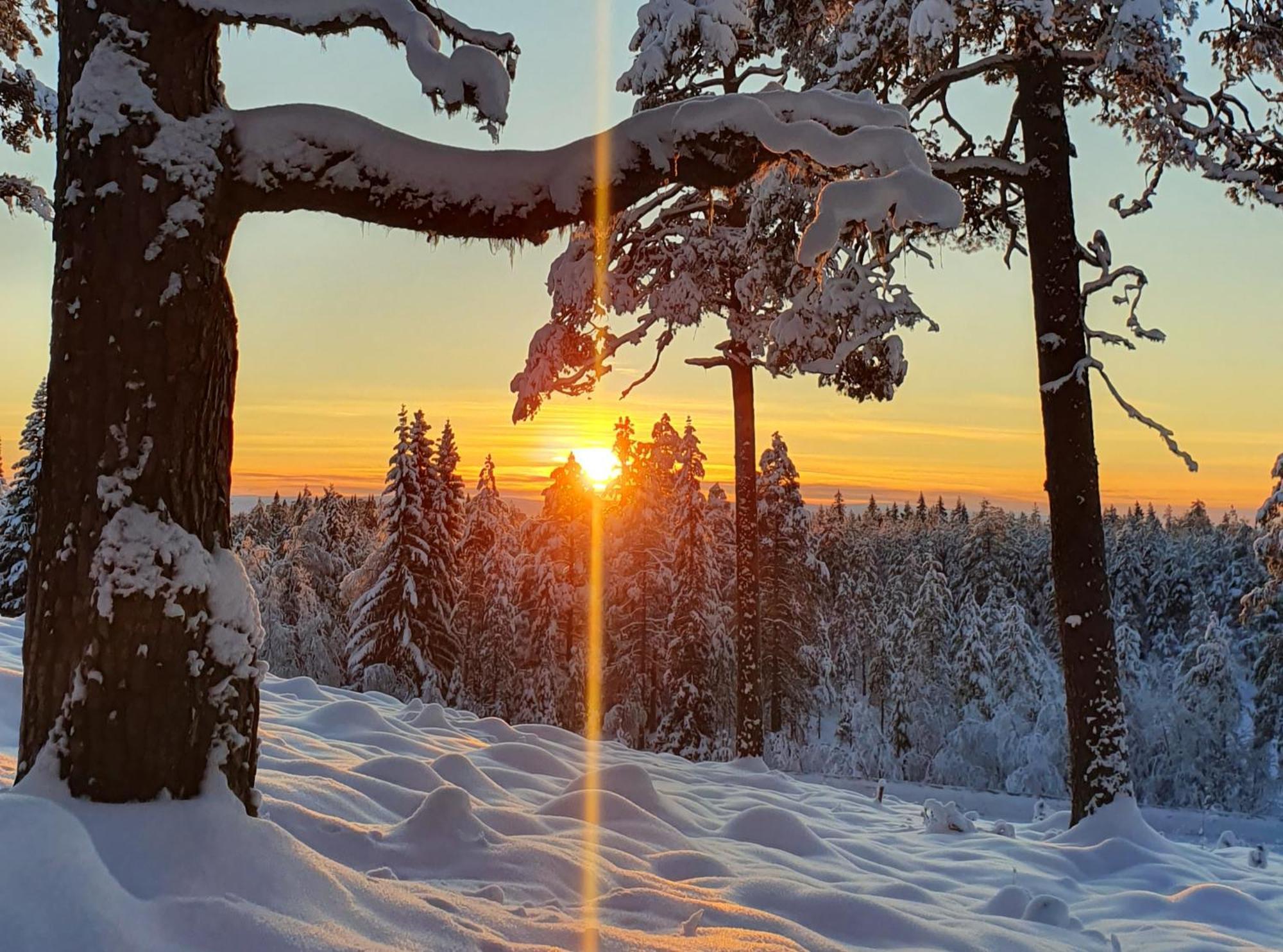 Stationshuset Dalarna Apartments Sörsjön Dış mekan fotoğraf