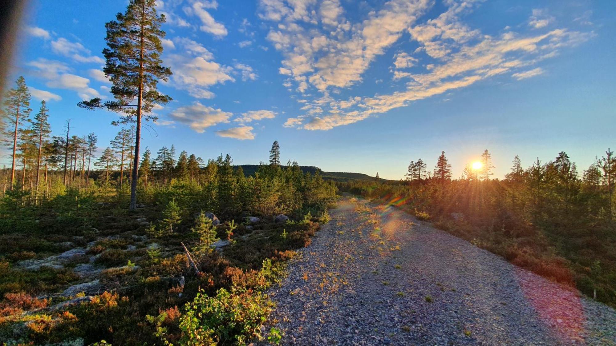 Stationshuset Dalarna Apartments Sörsjön Dış mekan fotoğraf